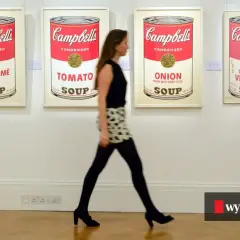 Zupy Campbell's w Polsce: Gdzie kupisz je najtaniej i najłatwiej?