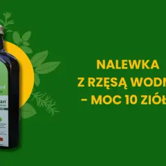 Napój z rzęsy wodnej: superfood przyszłości? Właściwości i bezpieczeństwo.