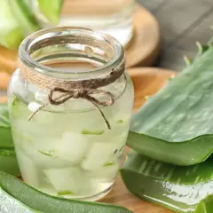 Aloes do picia: Co musisz wiedzieć? Właściwości, dawkowanie, ryzyko