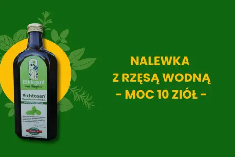Napój z rzęsy wodnej: superfood przyszłości? Właściwości i bezpieczeństwo.