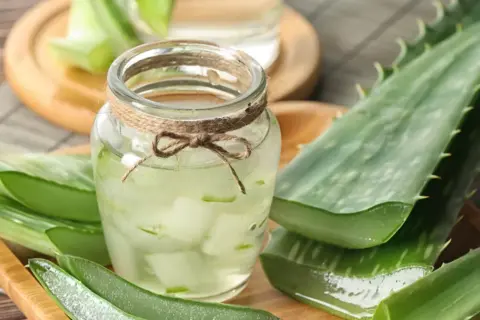 Aloes do picia: Co musisz wiedzieć? Właściwości, dawkowanie, ryzyko